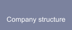 Company structure